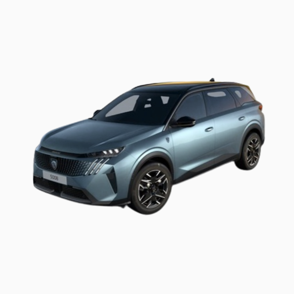 Peugeot 1007 Diesel Fuel Injectors