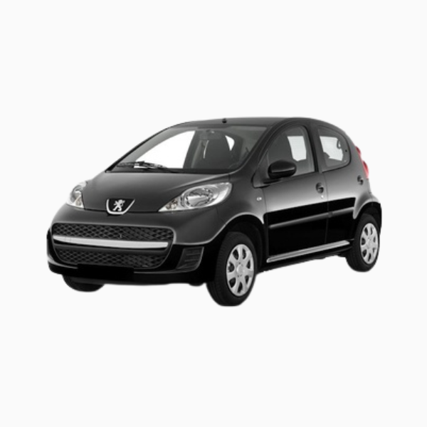 Peugeot 107 Diesel Fuel Injectors