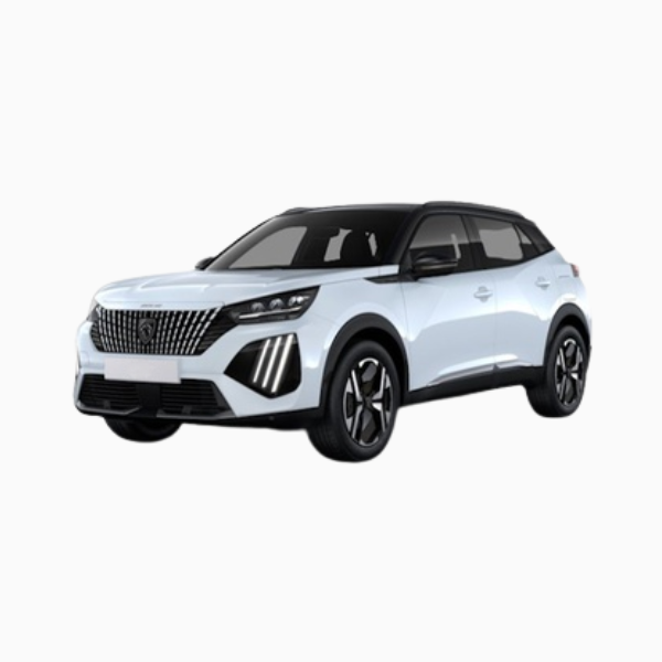 Peugeot 2008 Diesel Fuel Injectors