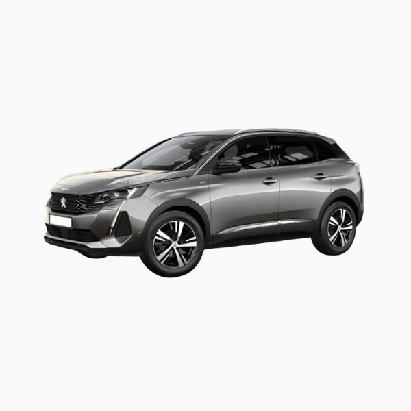 Peugeot 3008 Diesel Fuel Injectors