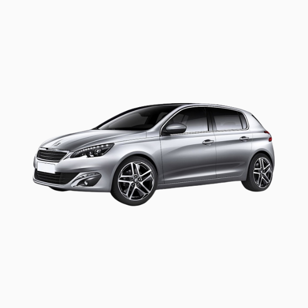 Peugeot 308 Diesel Fuel Injectors