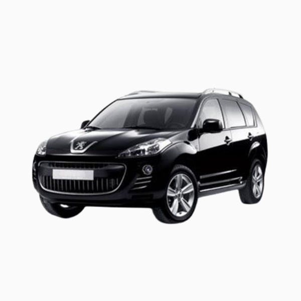 Peugeot 4007 Diesel Fuel Injectors