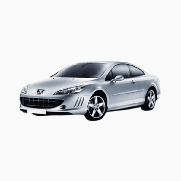 Peugeot 407 Diesel Fuel Injectors