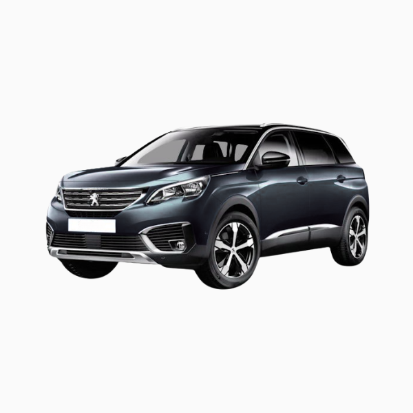 Peugeot 5008 Diesel Fuel Injectors