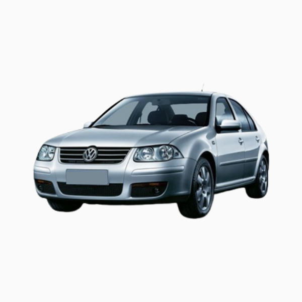 Volkswagen Bora Diesel Fuel Injector