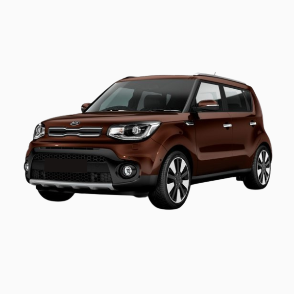 Kia Soul Diesel Fuel Injector