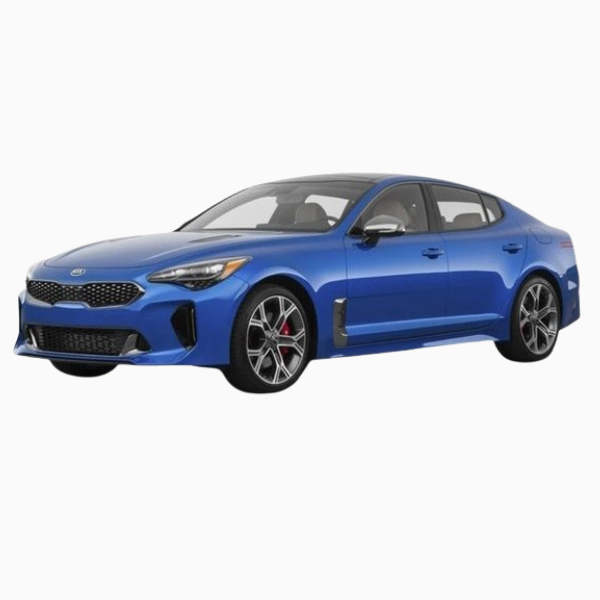 Kia Stinger Diesel Fuel Injector