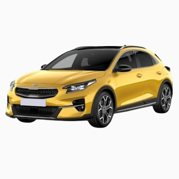 Kia XCeed Diesel Fuel Injector