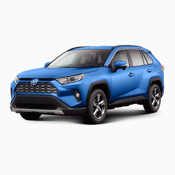 Toyota Rav4 Diesel Fuel Injector