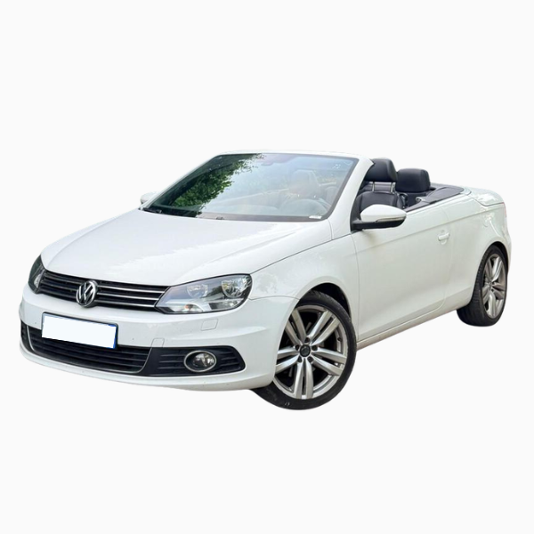 Volkswagen Eos Diesel Fuel Injector
