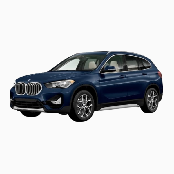 BMW X1 Diesel Fuel Injector