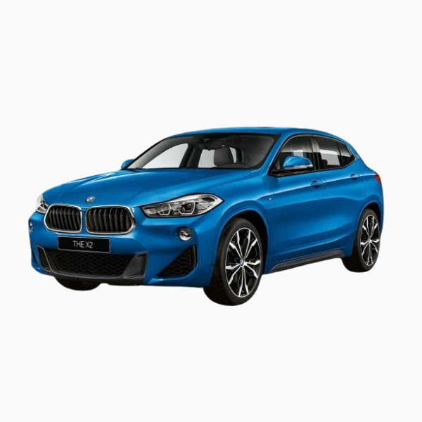 BMW X2 Diesel Fuel Injector