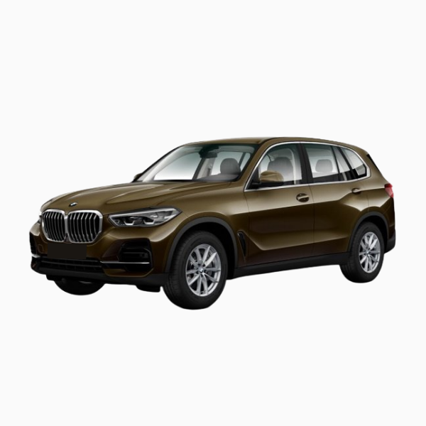 BMW X5 Diesel Fuel Injector