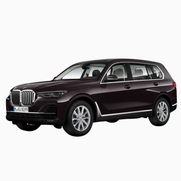 BMW X7 Diesel Fuel Injector