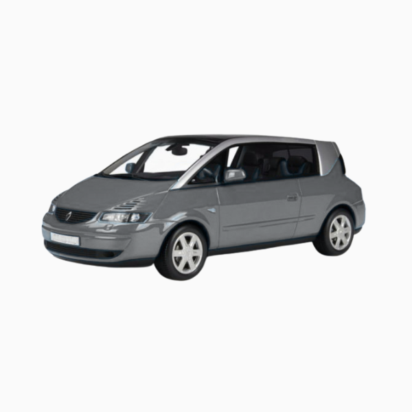 Renault Avantime Diesel Fuel Injectors