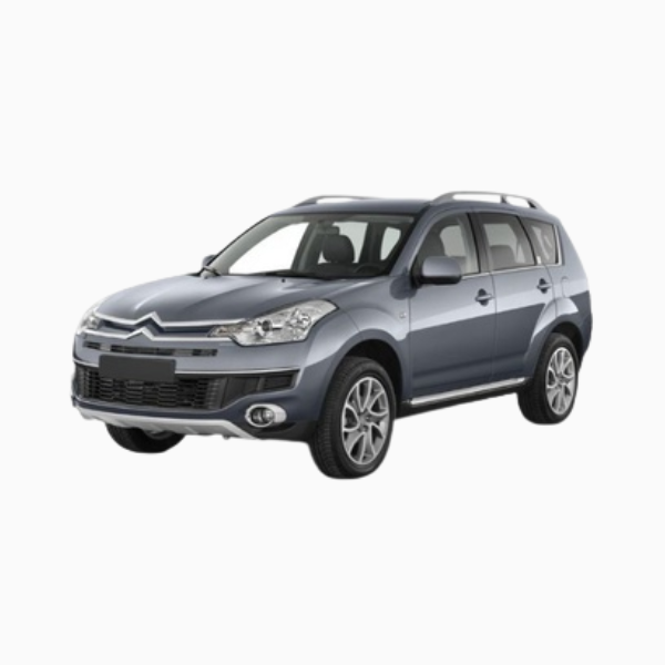 Citroen C-Crosser Diesel Fuel Injectors