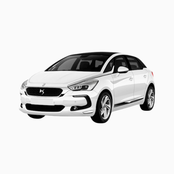 Citroen DS5 Diesel Fuel Injectors