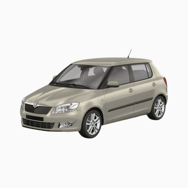 Skoda Fabia Diesel Fuel Injectors