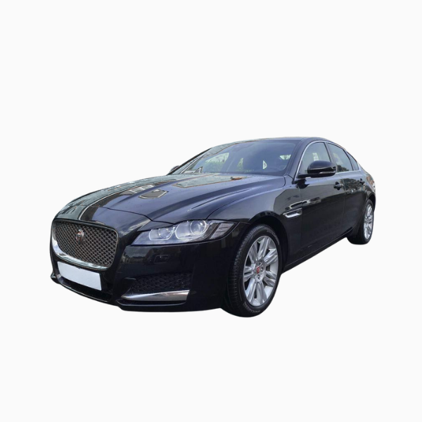 Jaguar XF Diesel Fuel Injectors