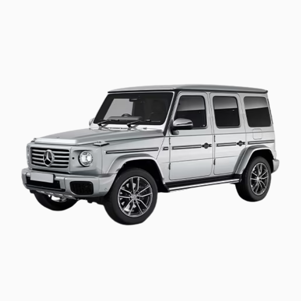 Mercedes G Class Diesel Fuel Injectors