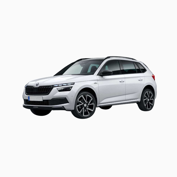 Skoda Kamiq Diesel Fuel Injectors