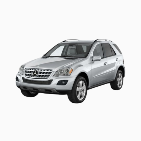 Mercedes M Class Diesel Fuel Injectors