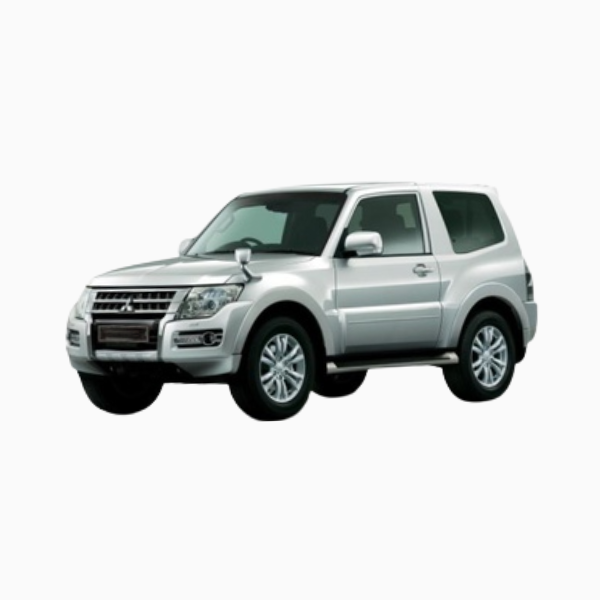 Mitsubishi Pajero Diesel Fuel Injectors