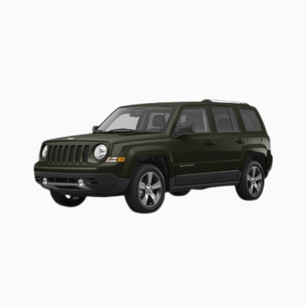 Jeep Patriot Diesel Fuel Injectors