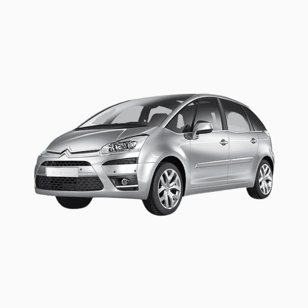 Citroen Picasso Diesel Fuel Injectors