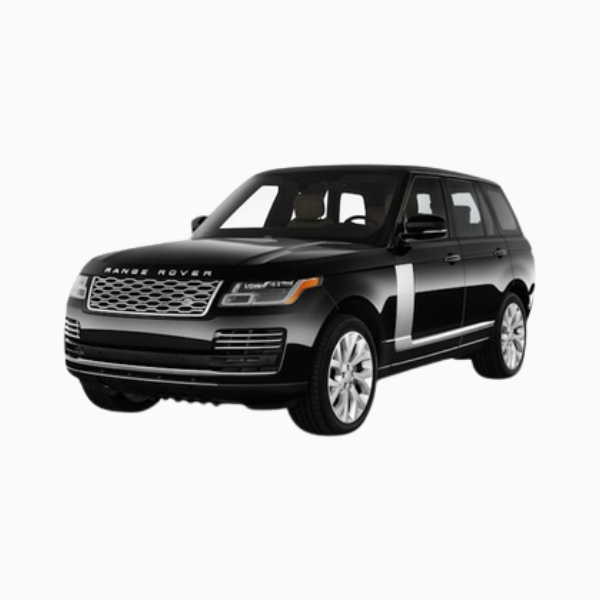 Land Rover Range Rover Diesel Fuel Injectors