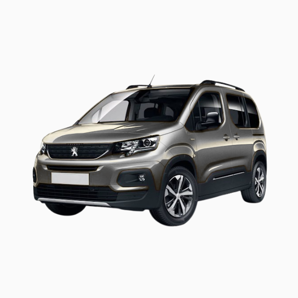 Peugeot Rifter Diesel Fuel Injectors