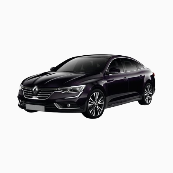 Renault Talisman Diesel Fuel Injectors