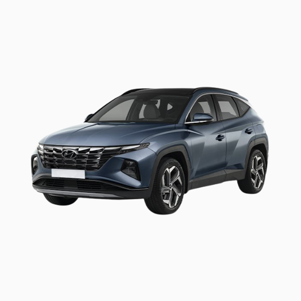 Hyundai Tucson Diesel Fuel Injectors