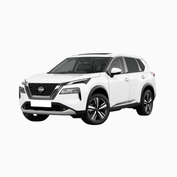 Nissan X-Trail Diesel Fuel Injectors