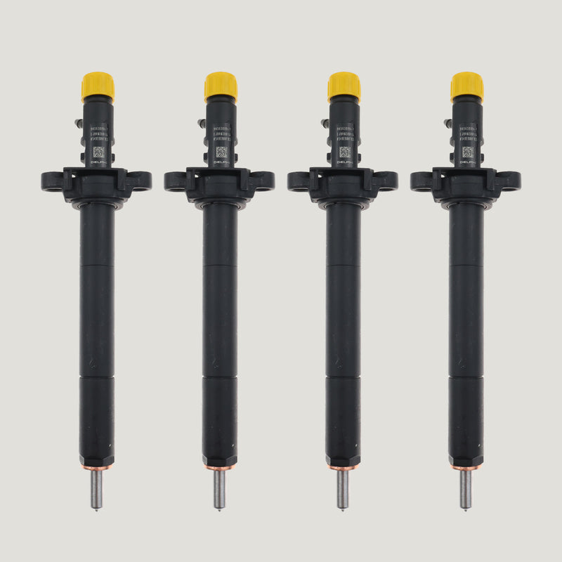 X4 Citroen Peugeot Injector| 2.0 HDi | Delphi EJBR03801D 9656389980