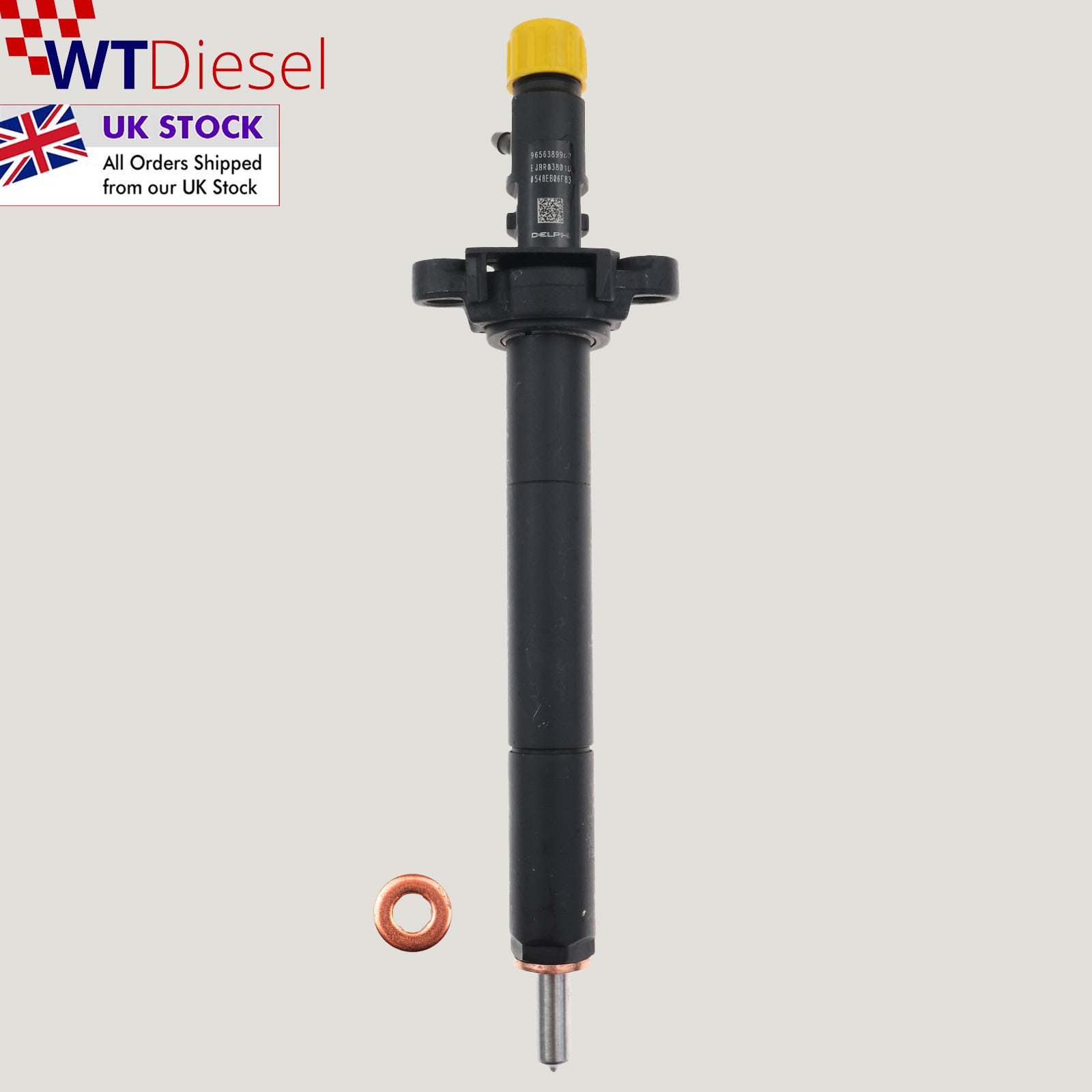 Citroen Peugeot Injector| 2.0 HDi | Delphi EJBR03801D 9656389980