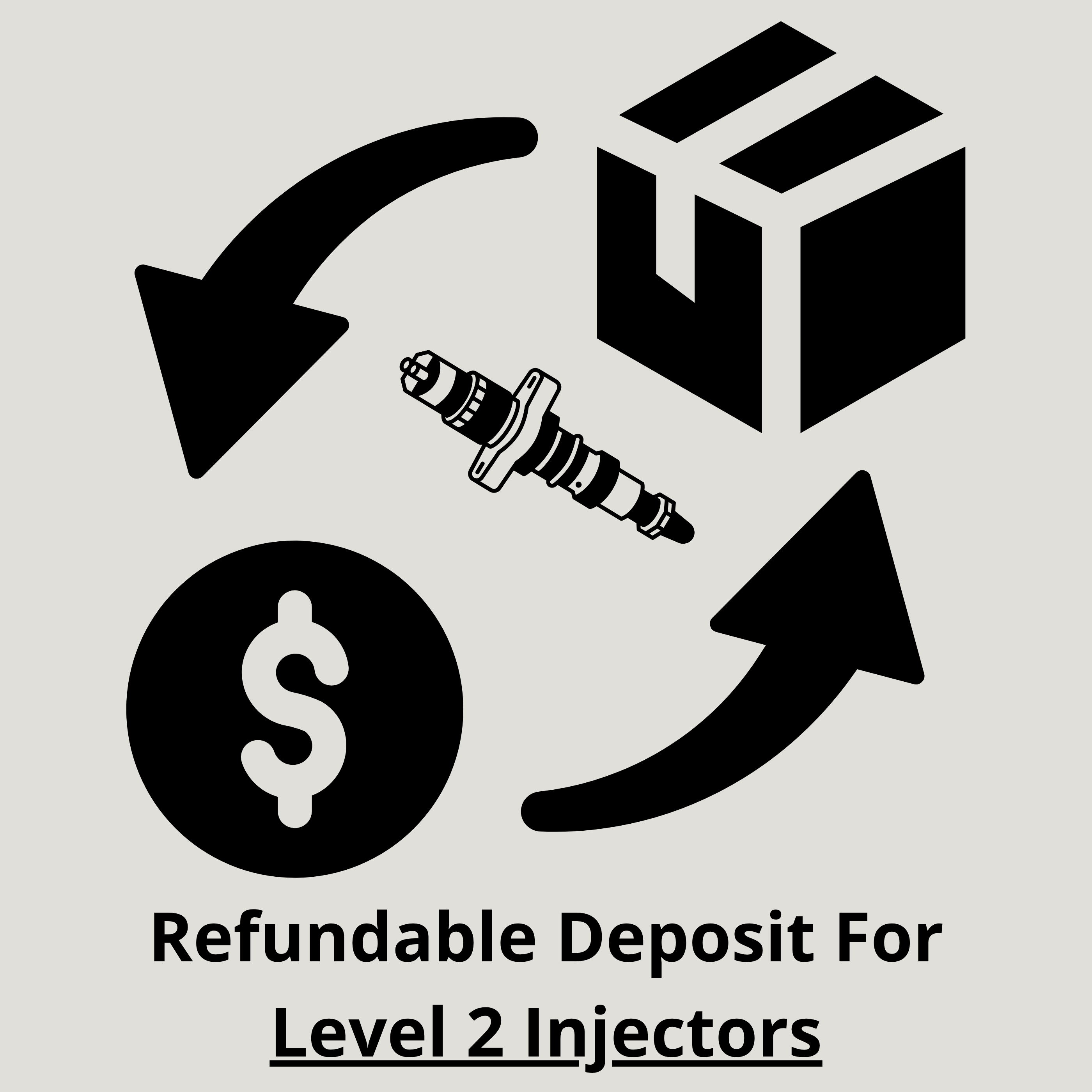 LEVEL 2 DEPOSIT - (High value)